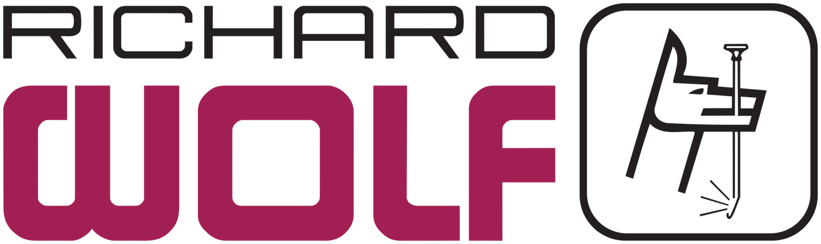 Richard_Wolf_GmbH_Logo.svg